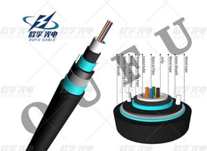 Gyxtw53 2-24 иқьи DJDA иқьиа ашьақәа ашьа